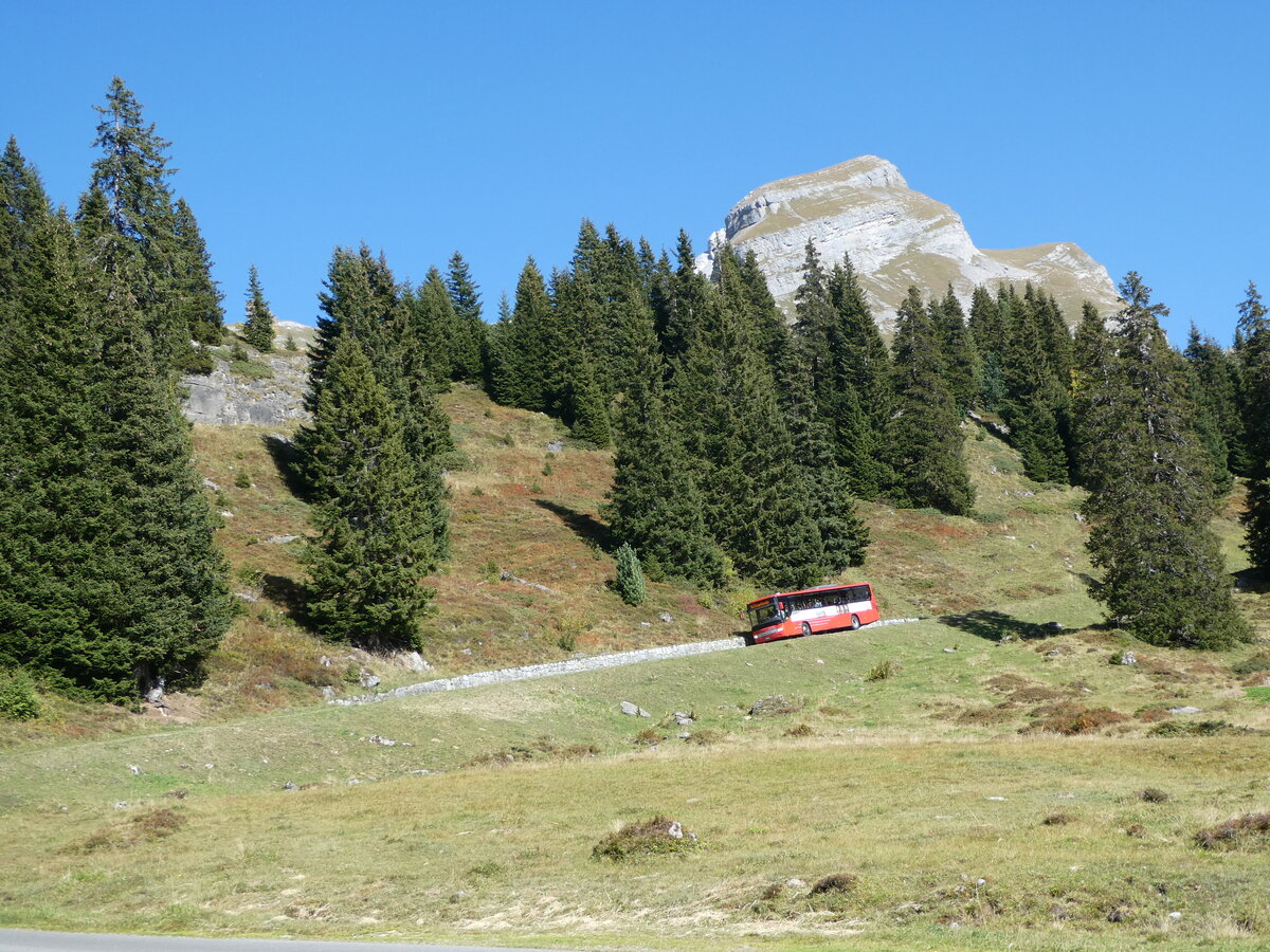 (255'781) - AFA Adelboden - Nr. 24/BE 26'701/PID 10'040 - Setra am 1. Oktober 2023 bei der Engstlenalp (Einsatz: PostAuto fr Engstlenalp-Bus)