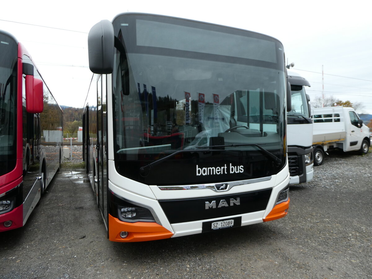 (257'098) - Bamert, Wollerau - SZ 12'089 - MAN am 18. November 2023 in Schmerikon, Thomann