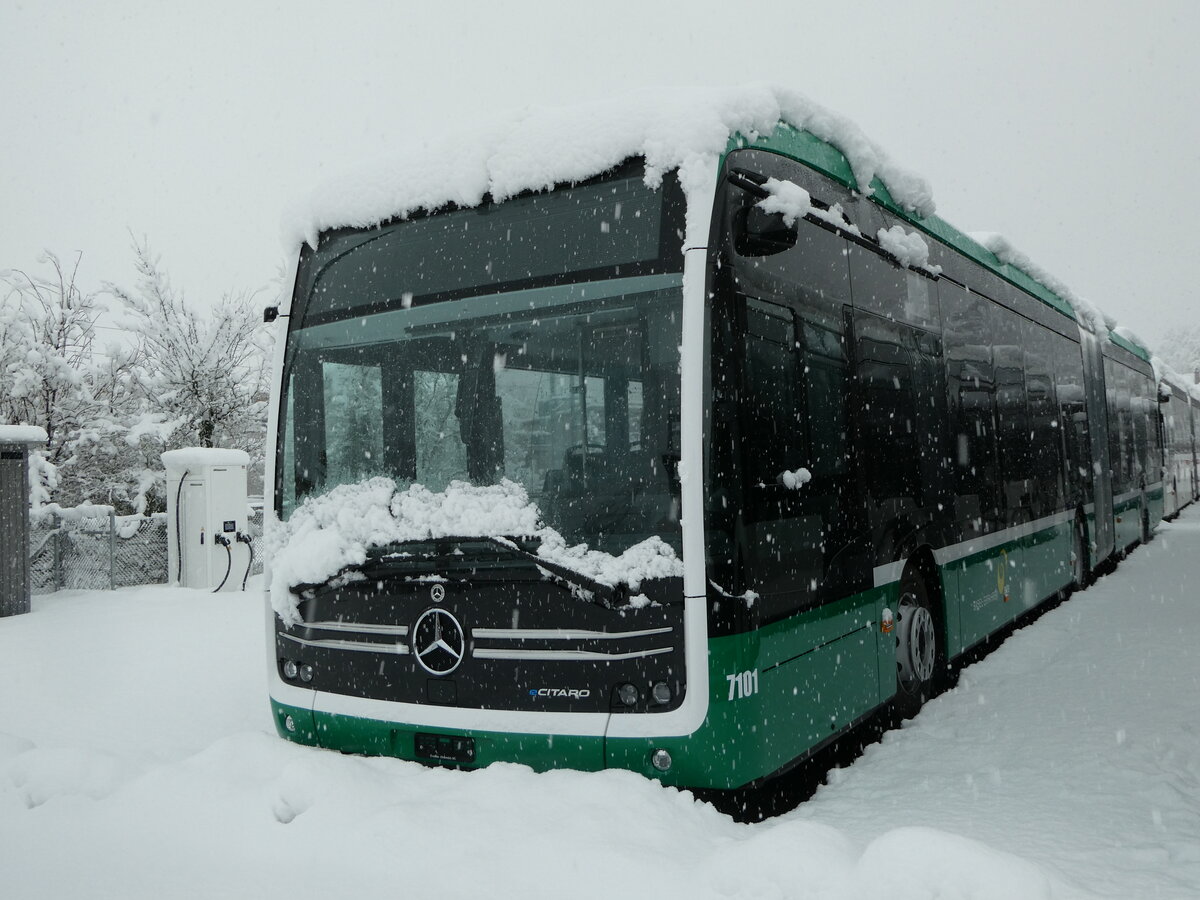 (257'355) - BVB Basel - Nr. 7101 - Mercedes am 2. Dezember 2023 in Winterthur, Daimler Buses