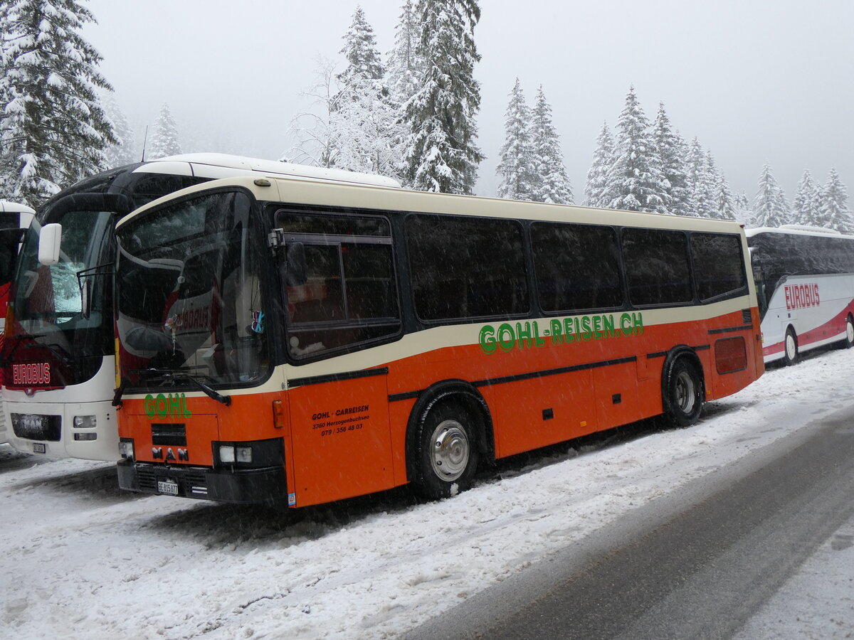 (258'289) - Gohl, Herzogenbuchsee - BE 815'877 - MAN/Lauber (ex AMSA Chiasso Nr. 19; ex Tresch, Amsteg PID 2290) am 6. Januar 2024 in Adelboden, Unter dem Birg