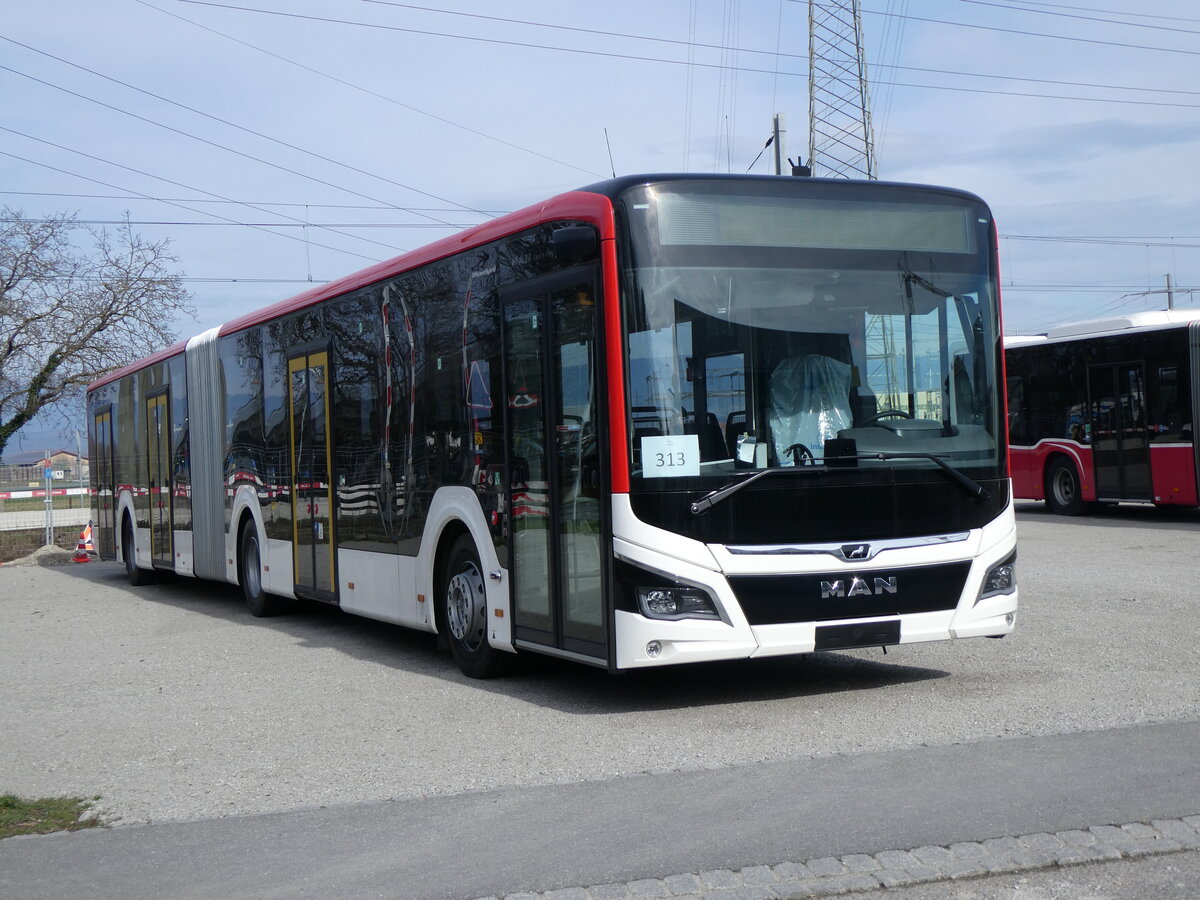 (259'838) - Twerenbold, Baden - Nr. 313 - MAN am 2. Mrz 2024 in Kerzers, Murtenstrasse