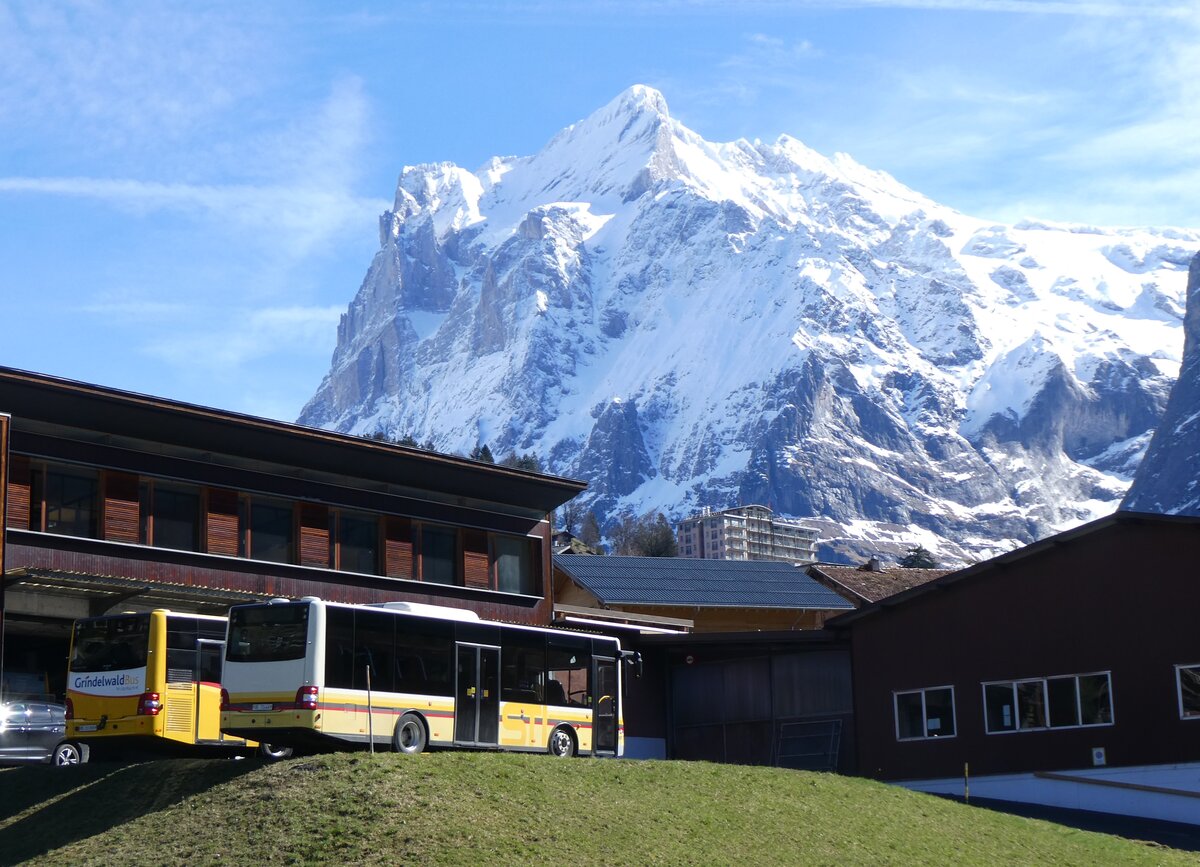 (260'499) - GrindelwaldBus, Grindelwald - Nr. 17/BE 72'444 - MAN/Gppel (ex STI Thun Nr. 133) am 19. Mrz 2024 in Grindelwald, Garage