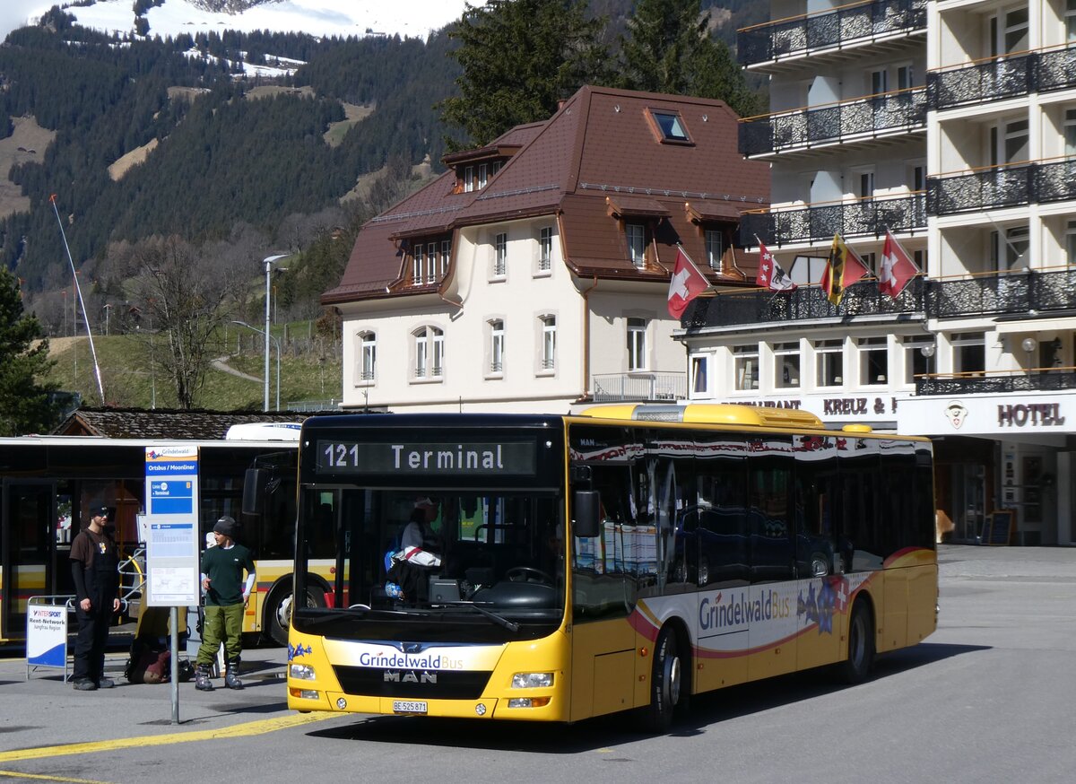 (260'514) - GrindelwaldBus, Grindelwald - Nr. 15/BE 525'871 - MAN am 19. Mrz 2024 beim Bahnhof Grindelwald