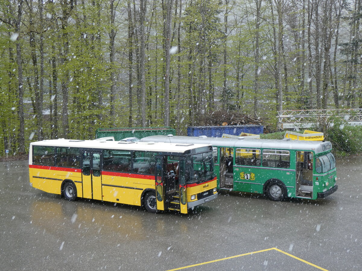 (261'600) - Widmer, Bern - BE 842'322 - NAW/Hess (ex Lombardi, Winterthur; ex Wohlgemuth, Hochwald PID 2208) am 21. April 2024 in Burgdorf, kihof Ziegelgut