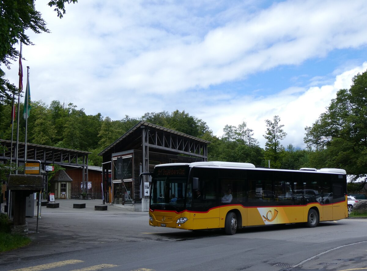 (263'226) - Flck, Brienz - Nr. 6/BE 26'631/PID 11'683 - Mercedes (ex PostAuto Bern) am 28. Mai 2024 in Hofstetten, Ballenberg West