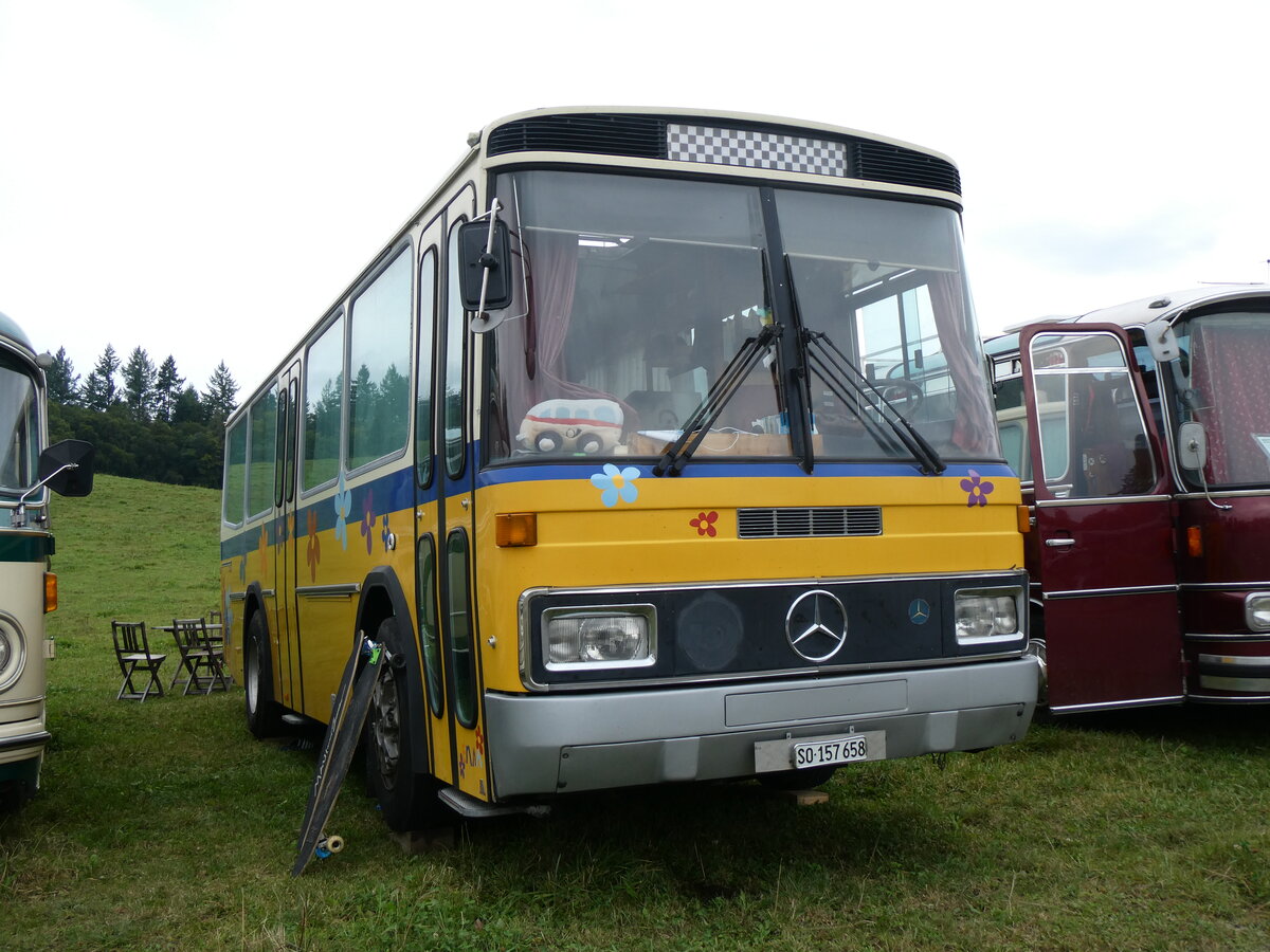 (265'796) - Schoch, Solothurn - SO 157'658 - Mercedes/Tscher (ex Reinhart, Selzach; ex Gessinger, Bad Ragaz) am 17. August 2024 in Neuhausen, Langriet