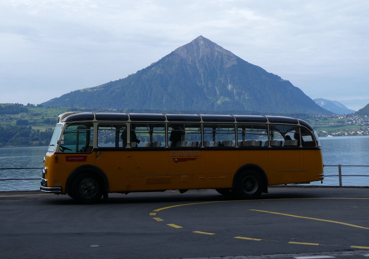 (267'414) - Gast, Reutigen - Nr. 1/BE 24'079 - FBW/FHS (ex Lambach, Gommiswald; ex Hotz, Rickenbach bei Wil/TG; ex P 24'079; ex P 21'579) am 22. September 2024 in Merligen, Beatenbucht