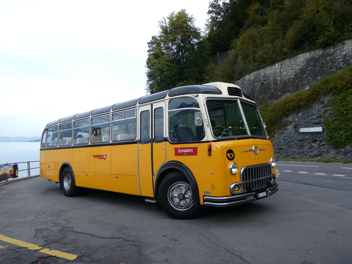 (267'418) - Gast, Reutigen - Nr. 1/BE 24'079 - FBW/FHS (ex Lambach, Gommiswald; ex Hotz, Rickenbach bei Wil/TG; ex P 24'079; ex P 21'579) am 22. September 2024 in Merligen, Beatenbucht