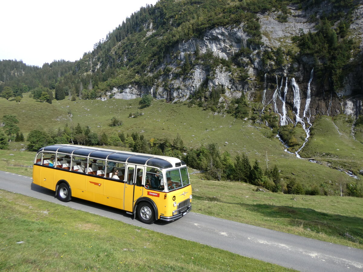 (267'486) - Gast, Reutigen - Nr. 1/BE 24'079 - FBW/FHS (ex Lambach, Gommiswald; ex Hotz, Rickenbach bei Wil/TG; ex P 24'079; ex P 21'579) am 22. September 2024 in Innertkirchen, Schwarzental