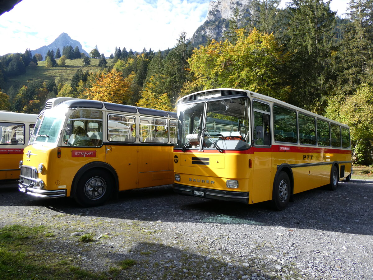 (268'033) - Schmid, Thrishaus - BE 26'206 - Saurer/Tscher (ex P 24'244) am 12. Oktober 2024 in Kiental, Loosplattenalp