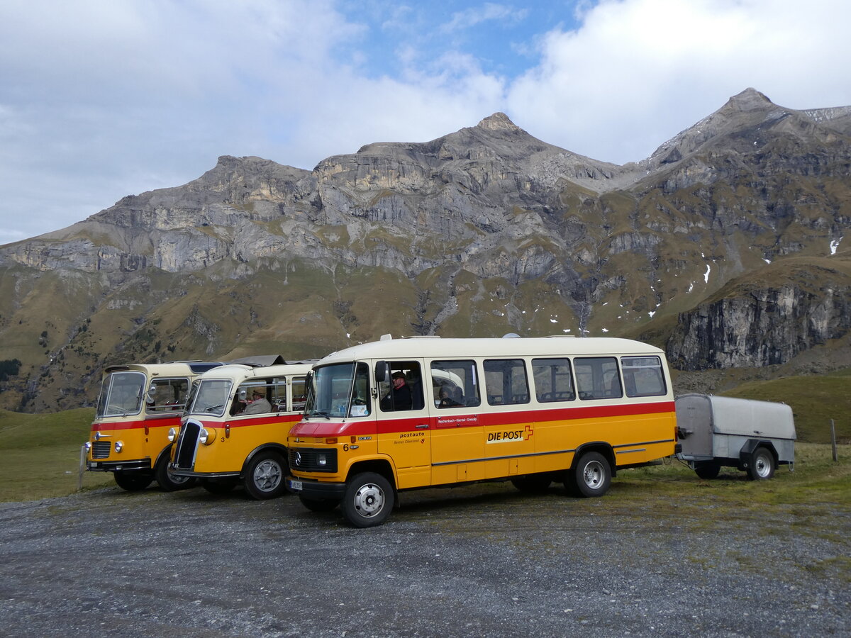 (268'112) - Aus Deutschland: Hahn, Mnchen - Nr. 6/M-MB 309H - Mercedes (ex Mller, CH-Ennetmoos Nr. 6; ex Portenier, CH-Adelboden Nr. 6; ex Geiger, CH-Adelboden Nr. 6) am 12. Oktober 2024 auf dem Bundlger