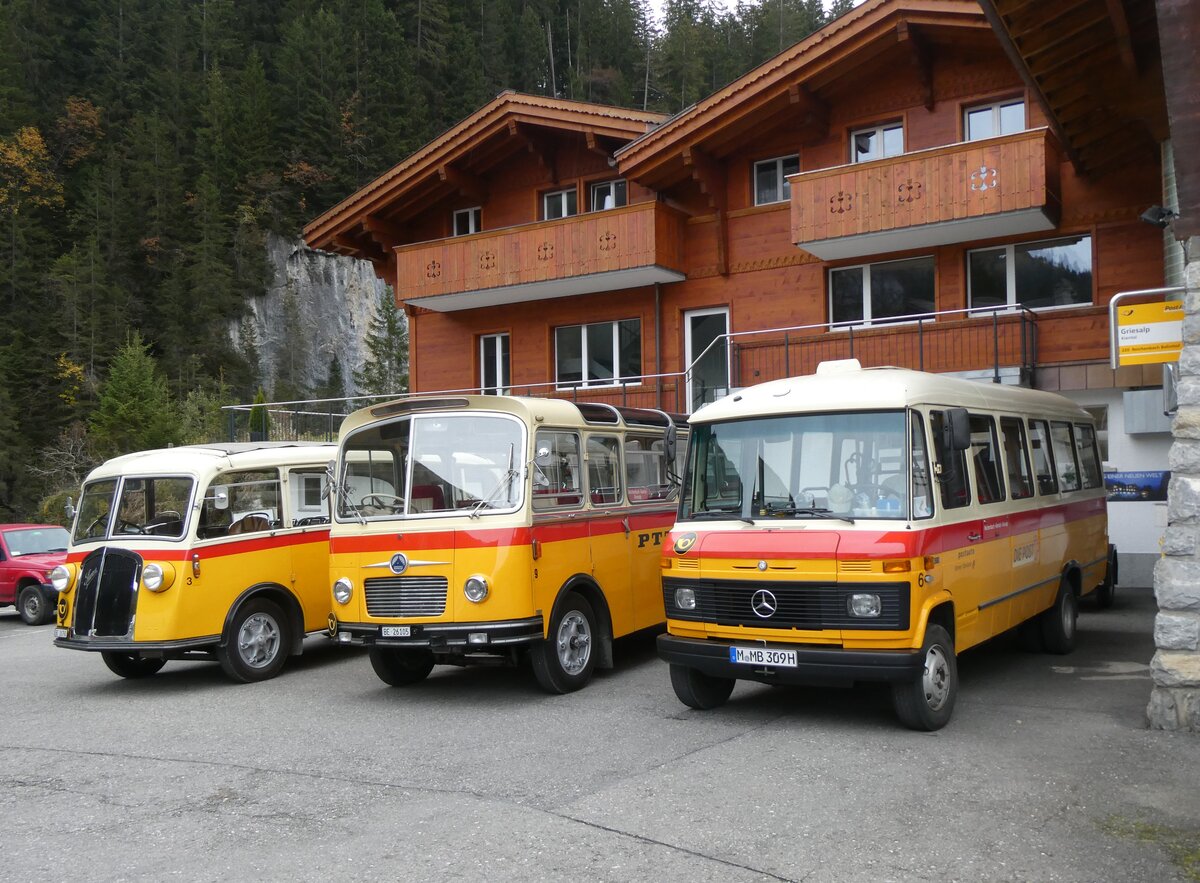 (268'139) - Aus Deutschland: Hahn, Mnchen - Nr. 6/M-MB 309H - Mercedes (ex Mller, CH-Ennetmoos Nr. 6; ex Portenier, CH-Adelboden Nr. 6/PID 492; ex Geiger, CH-Adelboden Nr. 6) am 12. Oktober 2024 auf der Griesalp