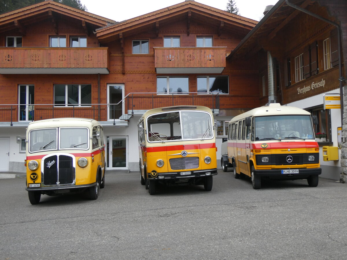 (268'149) - Schmid, Thrishaus - Nr. 3/BE 26'760 - Saurer/Gangloff (ex Geiger, Adelboden Nr. 3) + Nr. 9/BE 26'105 - Saurer/R&J (ex Geiger, Adelboden Nr. 9) + aus Deutschland: Hanh, Mnchen - Nr. 6/M-MB 309H - Mercedes (ex Mller, CH-Ennetmoos Nr. 6; ex Portenier, CH-Adelboden Nr. 6; ex Geiger, CH-Adelboden Nr. 6) am 12. Oktober 2024 auf der Griesalp