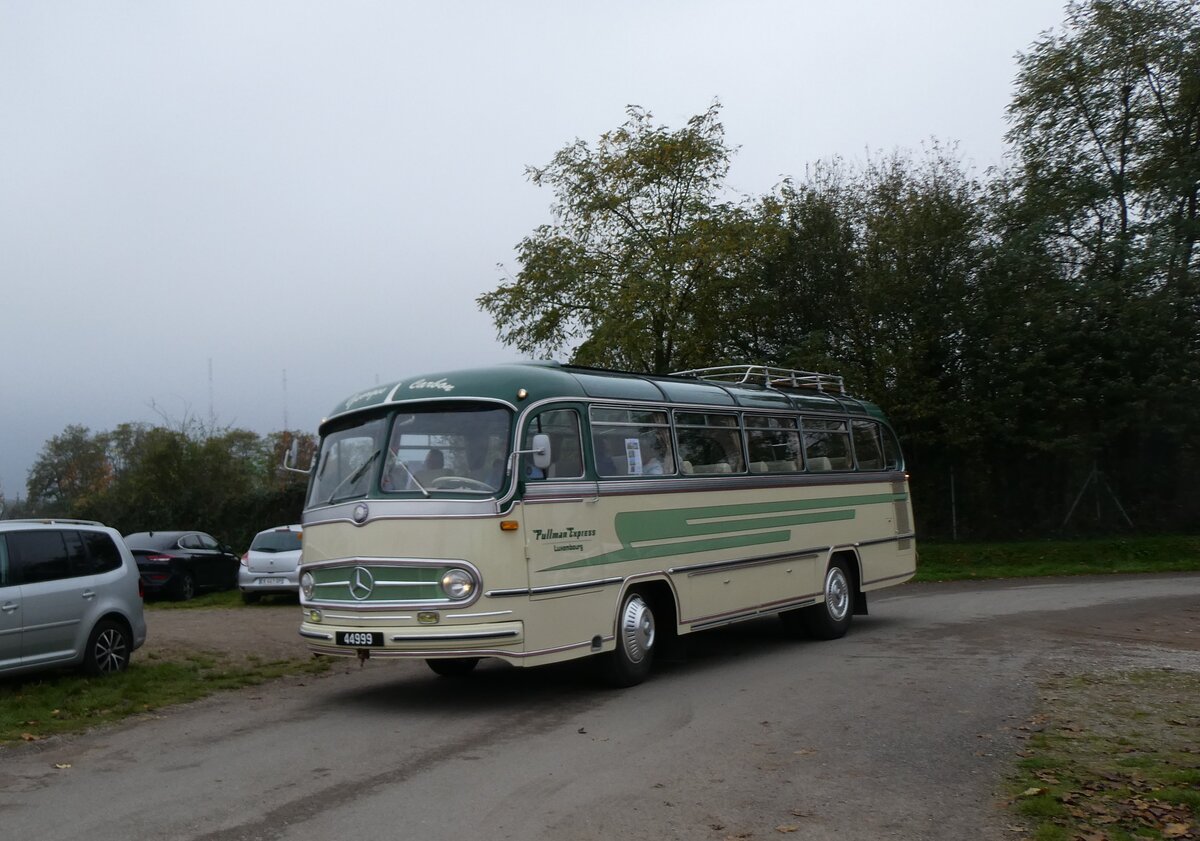 (268'651) - Aus Luxemburg: Carbon, Luxembourg - 44'999 - Mercedes am 26. Oktober 2024 in Kintzheim, Cigoland