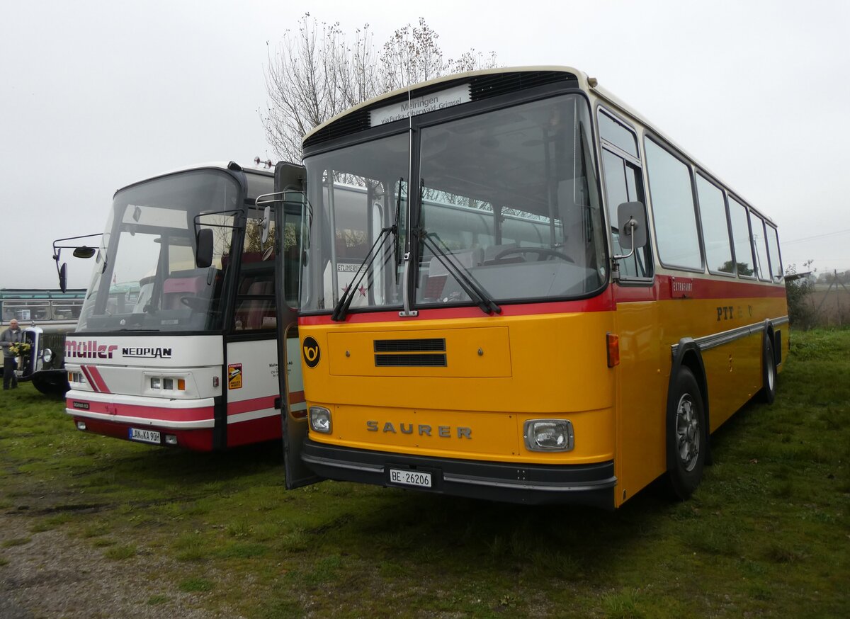 (268'681) - Aus der Schweiz: Schmid, Thrishaus - BE 26'206 - Saurer/Tscher (ex P 24'244) am 26. Oktober 2024 in Kintzheim, Cigoland