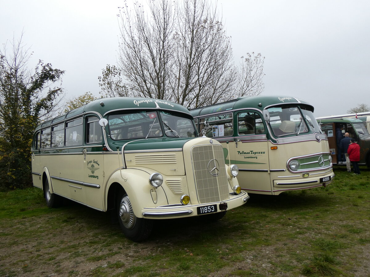 (268'682) - Aus Luxemburg: Carbon, Luxembourg - 11'853 - Mercedes am 26. Oktober 2024 in Kintzheim, Cigoland