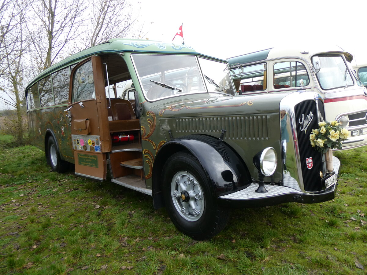 (268'720) - Aus der Schweiz: Lorenz, Lyssach - BE 2548 U - Saurer/Saurer (ex Geiger, Adelboden Nr. 8; ex P 1997) am 27. Oktober 2024 in Kintzheim, Cigoland