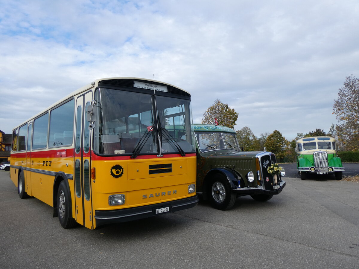 (268'725) - Aus der Schweiz: Schmid, Thrishaus - BE 26'206 - Saurer/Tscher (ex P 24'244) am 27. Oktober 2024 in Kintzheim, Cigoland