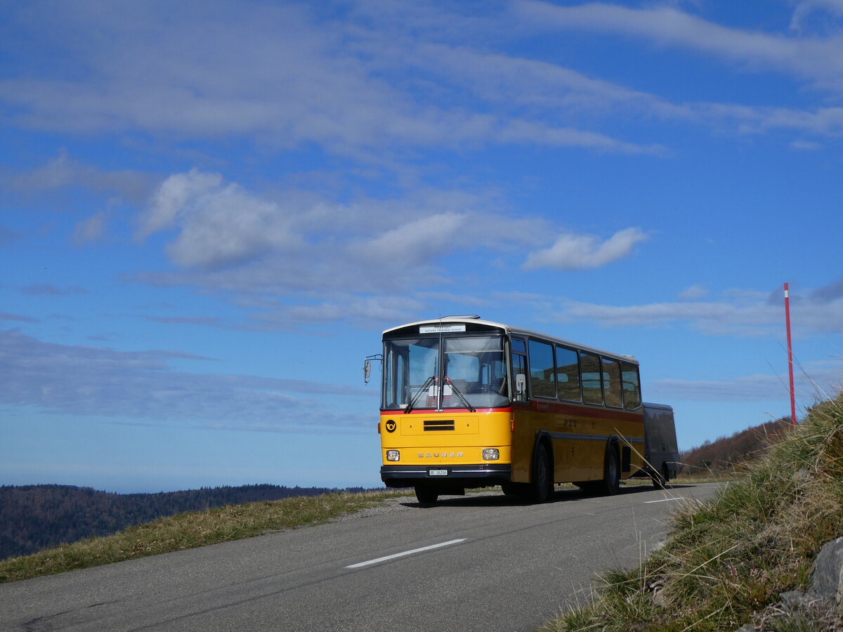 (268'758) - Aus der Schweiz: Schmid, Thrishaus - BE 26'206 - Saurer/Tscher (ex P 24'244) am 27. Oktober 2024 bei Rothenbach