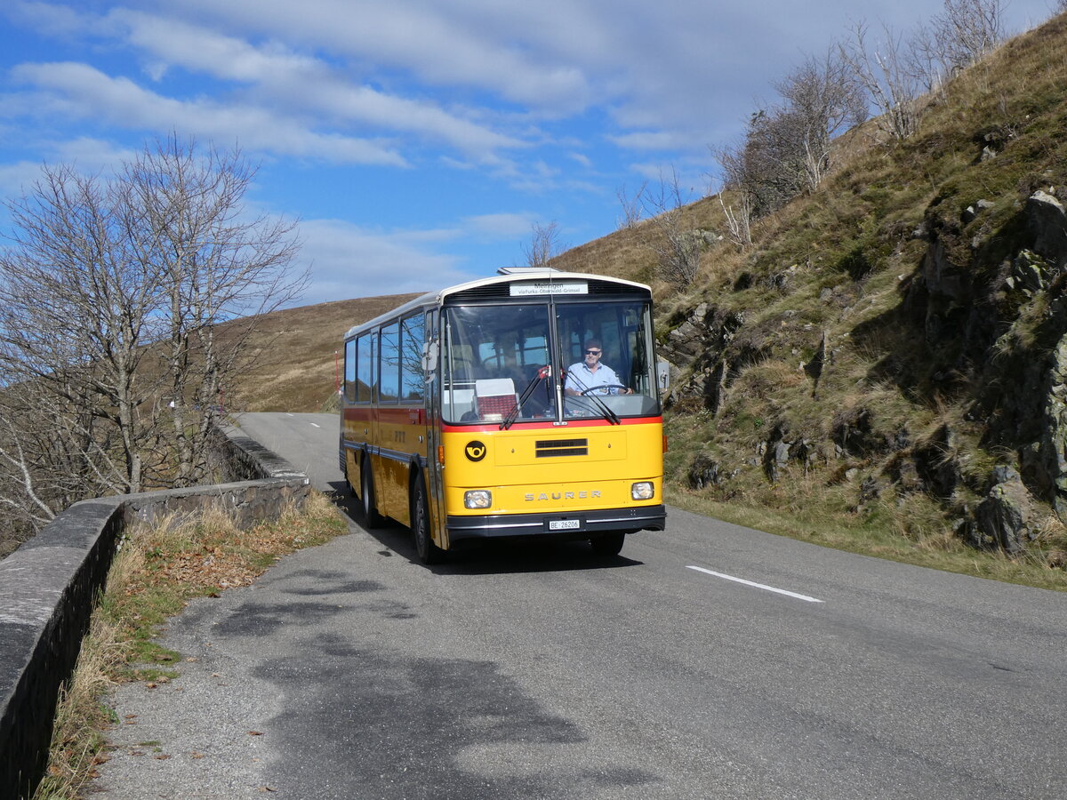 (268'764) - Aus der Schweiz: Schmid, Thrishaus - BE 26'206 - Saurer/Tscher (ex P 24'244) am 27. Oktober 2024 bei Rothenbach