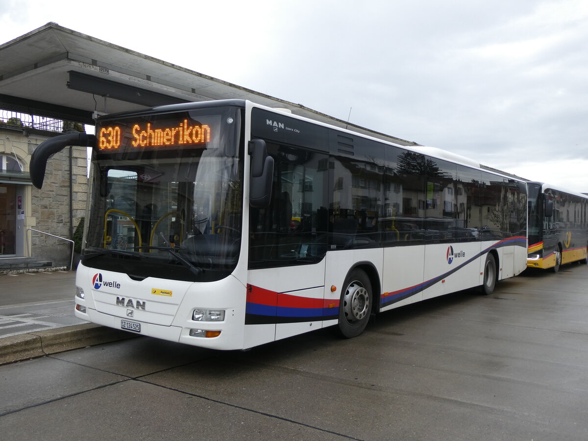 (269'283) - PostAuto Ostschweiz - SZ 124'525/PID 5262 - MAN (ex SG 426'816; ex Geissmann, Hgglingen) am 19. November 2024 beim Bahnhof Uznach