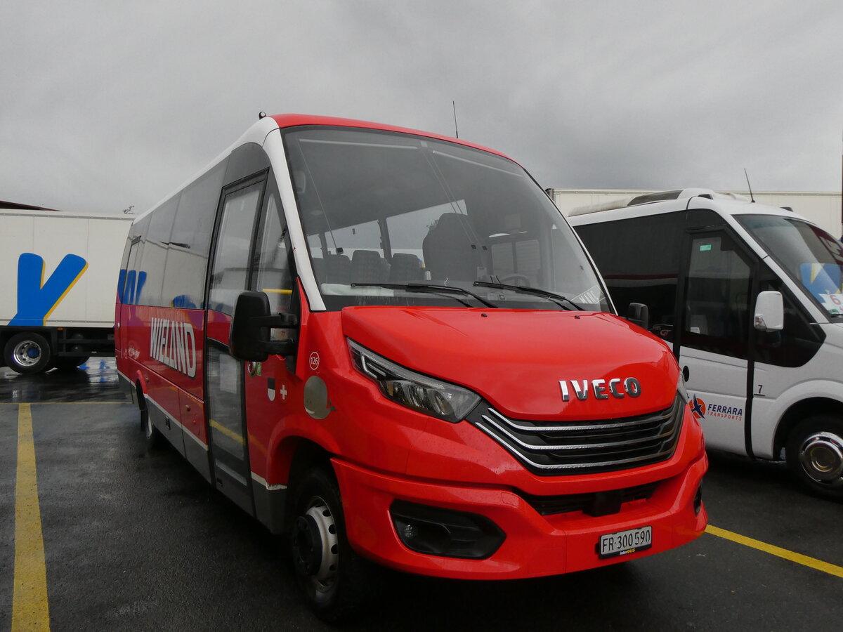 (270'102) - Wieland, Murten - Nr. 126/FR 300'590 - Iveco/Rosero am 22. Dezember 2024 in Kerzers, Interbus