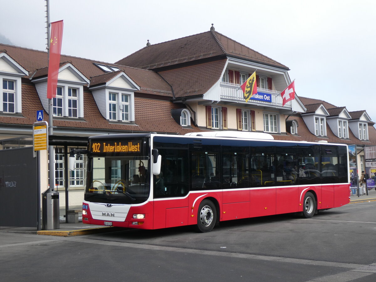 (271'236) - PostAuto Bern - BE 403'166/PID 12'336 - MAN (ex Dr. Richard, A-Wien Nr. 1411) am 18. Januar 2025 beim Bahnhof Interlaken Ost