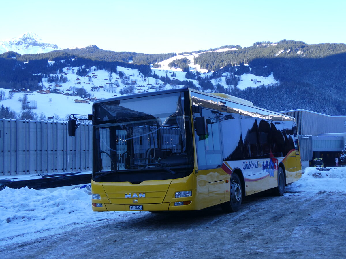 (271'253) - GrindelwaldBus, Grindelwald - Nr. 16/BE 28'821 - MAN am 18. Januar 2025 in Grindelwald, Garage