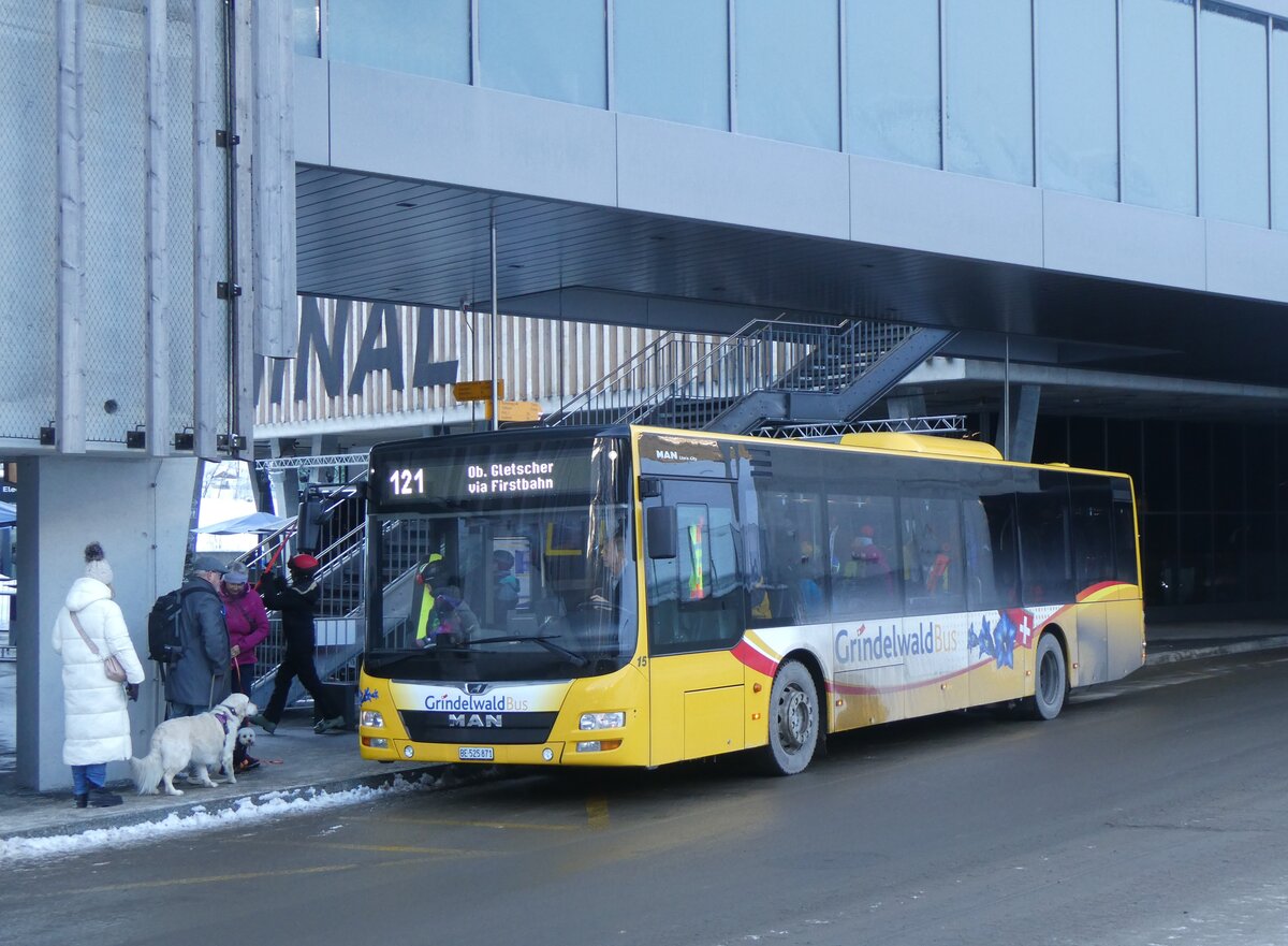 (271'289) - GrindelwaldBus, Grindelwald - Nr. 15/BE 525'871 - MAN am 18. Januar 2025 in Grindelwald, Terminal