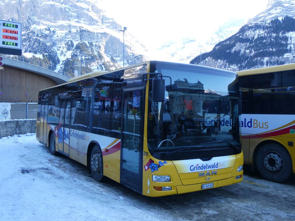 (271'291) - GrindelwaldBus, Grindelwald - Nr. 20/BE 349'361 - MAN/Gppel am 18. Januar 2025 beim Bahnhof Grindelwald