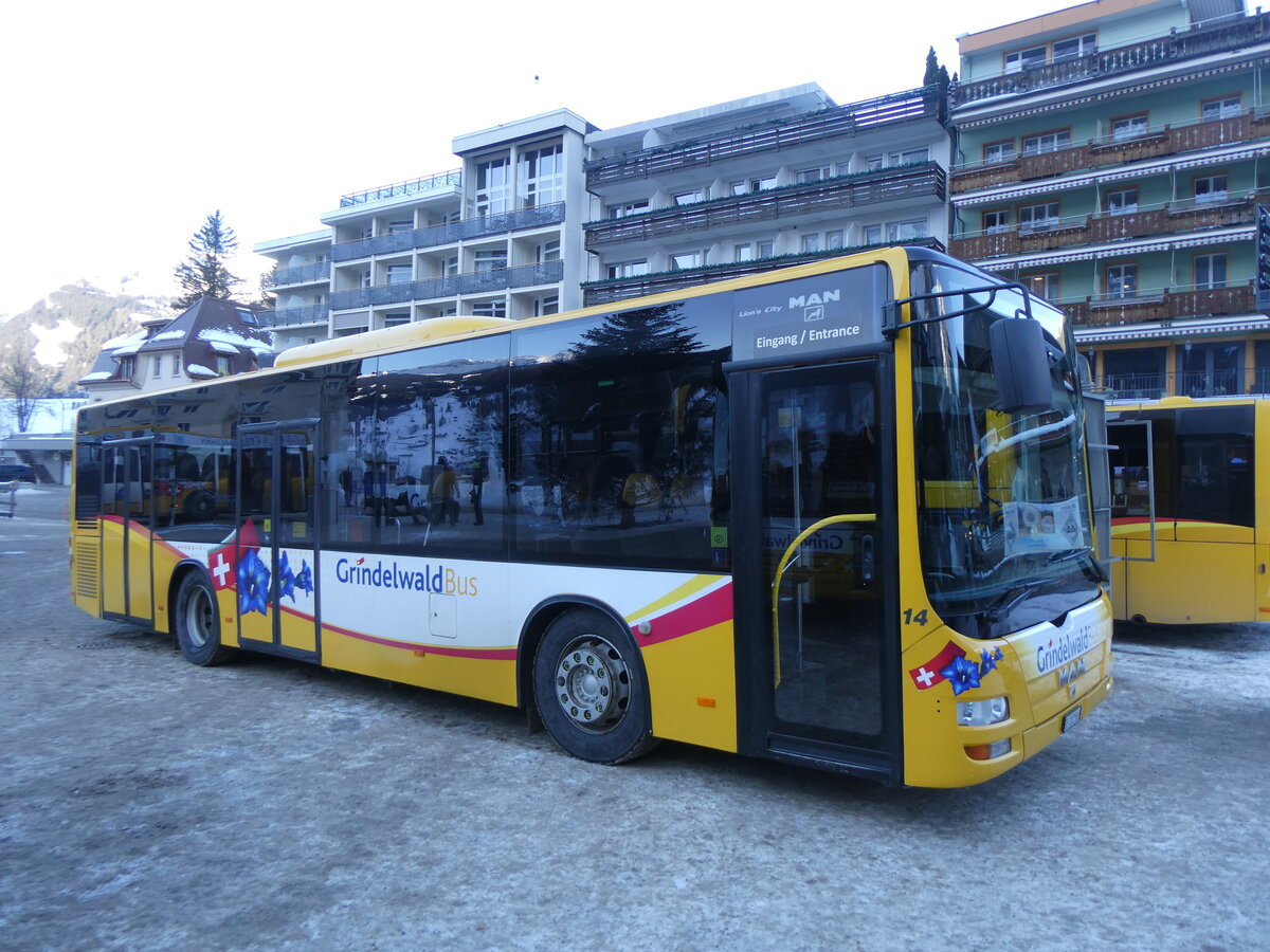 (271'295) - GrindelwaldBus, Grindelwald - Nr. 14/BE 202'568 - MAN/Gppel am 18. Januar 2025 beim Bahnhof Grindelwald