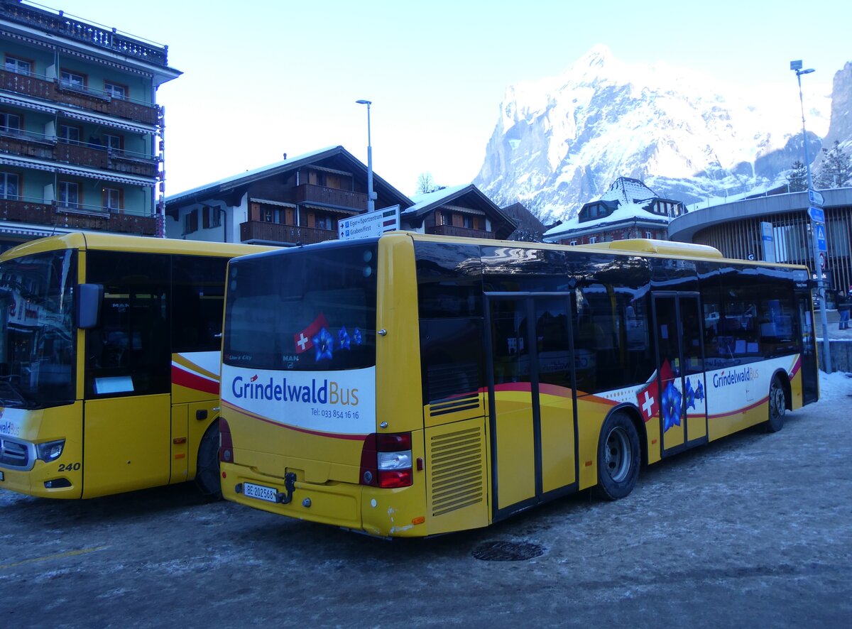 (271'296) - GrindelwaldBus, Grindelwald - Nr. 14/BE 202'568 - MAN/Gppel am 18. Januar 2025 beim Bahnhof Grindelwald