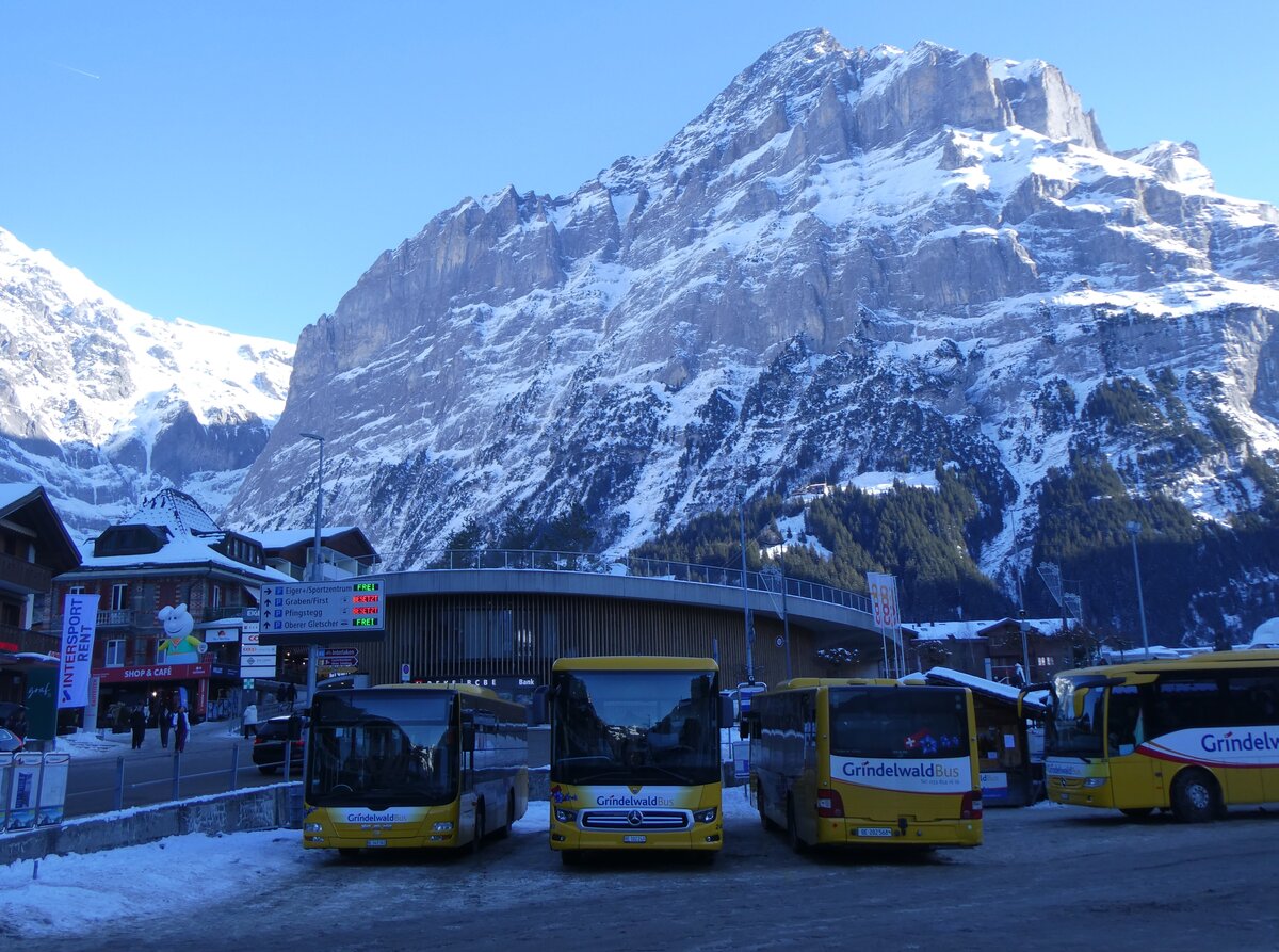 (271'315) - GrindelwaldBus, Grindelwald - Nr. 20/BE 349'361 - MAN/Gppel + Nr. 240/BE 102'240 - Mercedes + Nr. 14/BE 202'568 - MAN/Gppel am 18. Januar 2025 beim Bahnhof Grindelwald