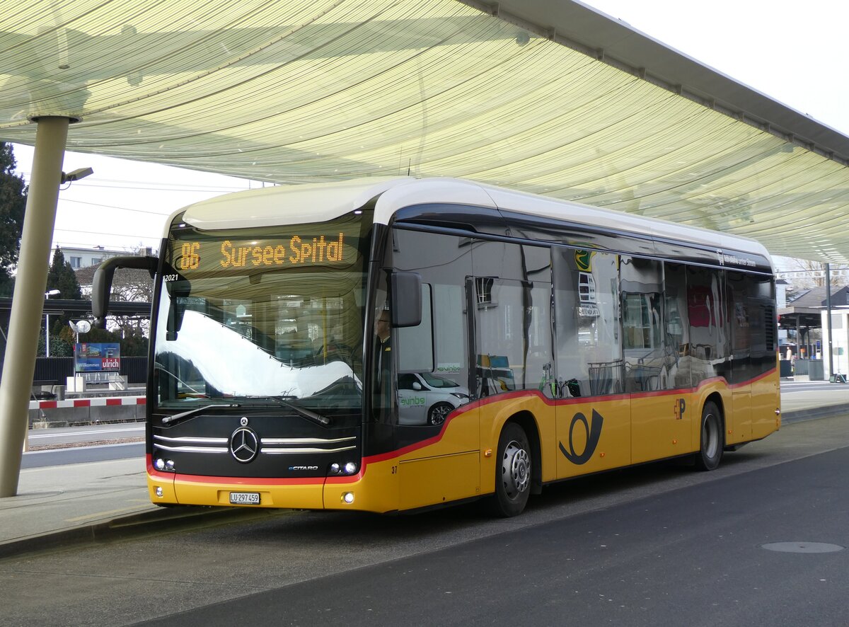 (271'694) - Hfliger, Sursee - Nr. 37/LU 297'459/PID 12'021 - eMercedes (ex vermietet an PostAuto Zentralschweiz Nr. 537) am 7. Februar 2025 beim Bahnhof Sursee