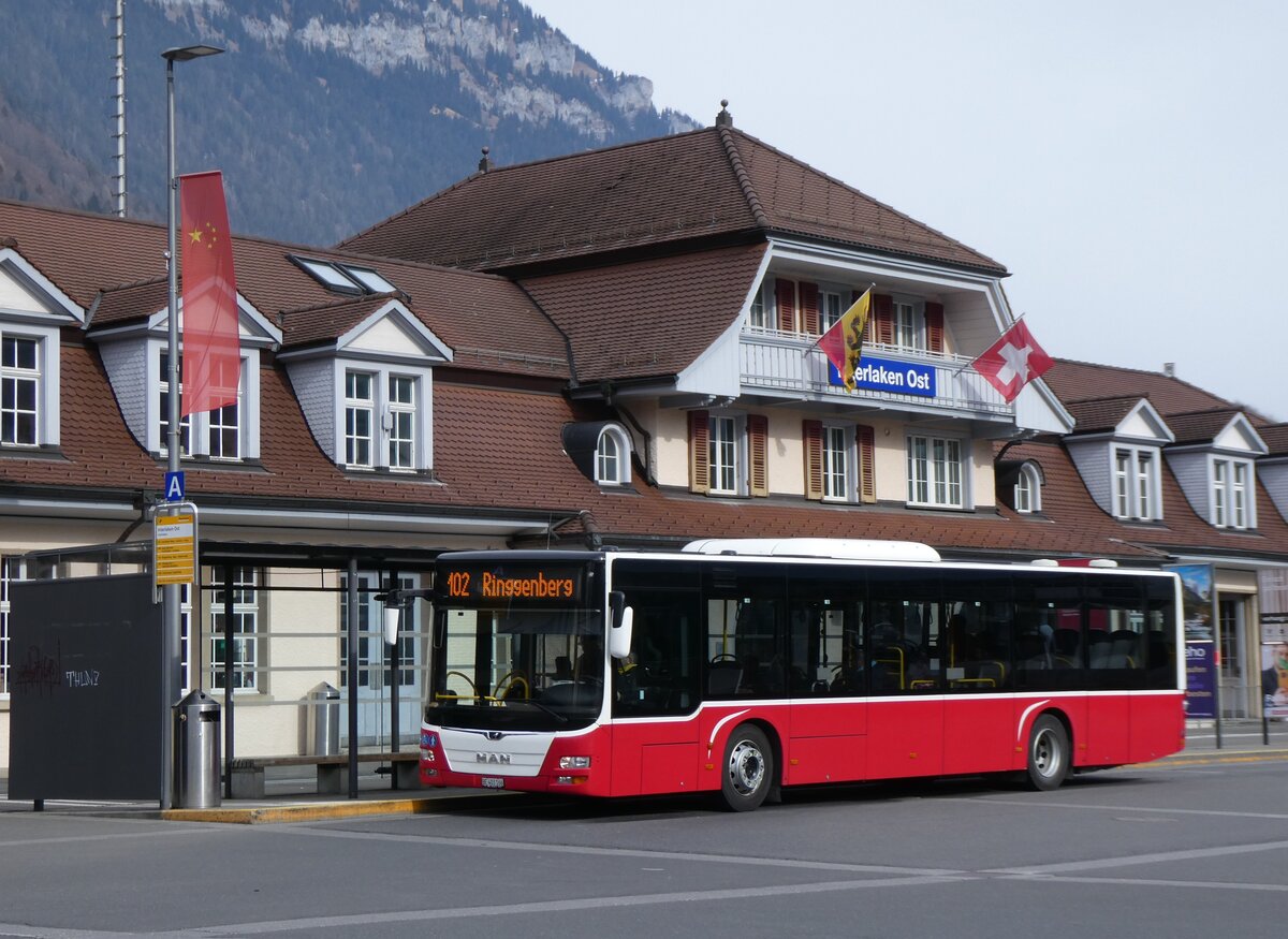 (271'854) - PostAuto Bern - BE 403'166/PID 12'336 - MAN (ex Dr. Richard, A-Wien Nr. 1411) am 11. Februar 2025 beim Bahnhof Interlaken Ost