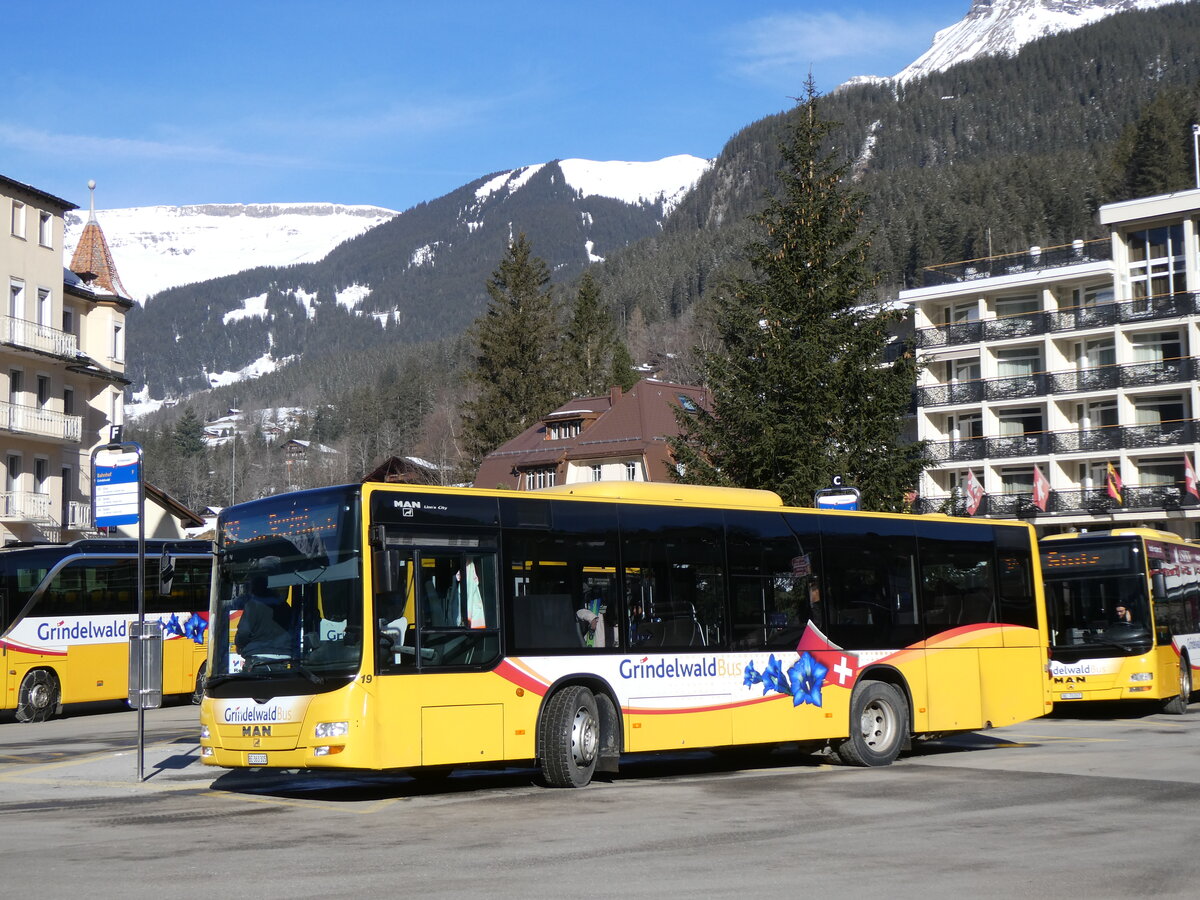 (272'167) - GrindelwaldBus, Grindelwald - Nr. 19/BE 363'305 - MAN/Gppel am 17. Februar 2025 beim Bahnhof Grindelwald