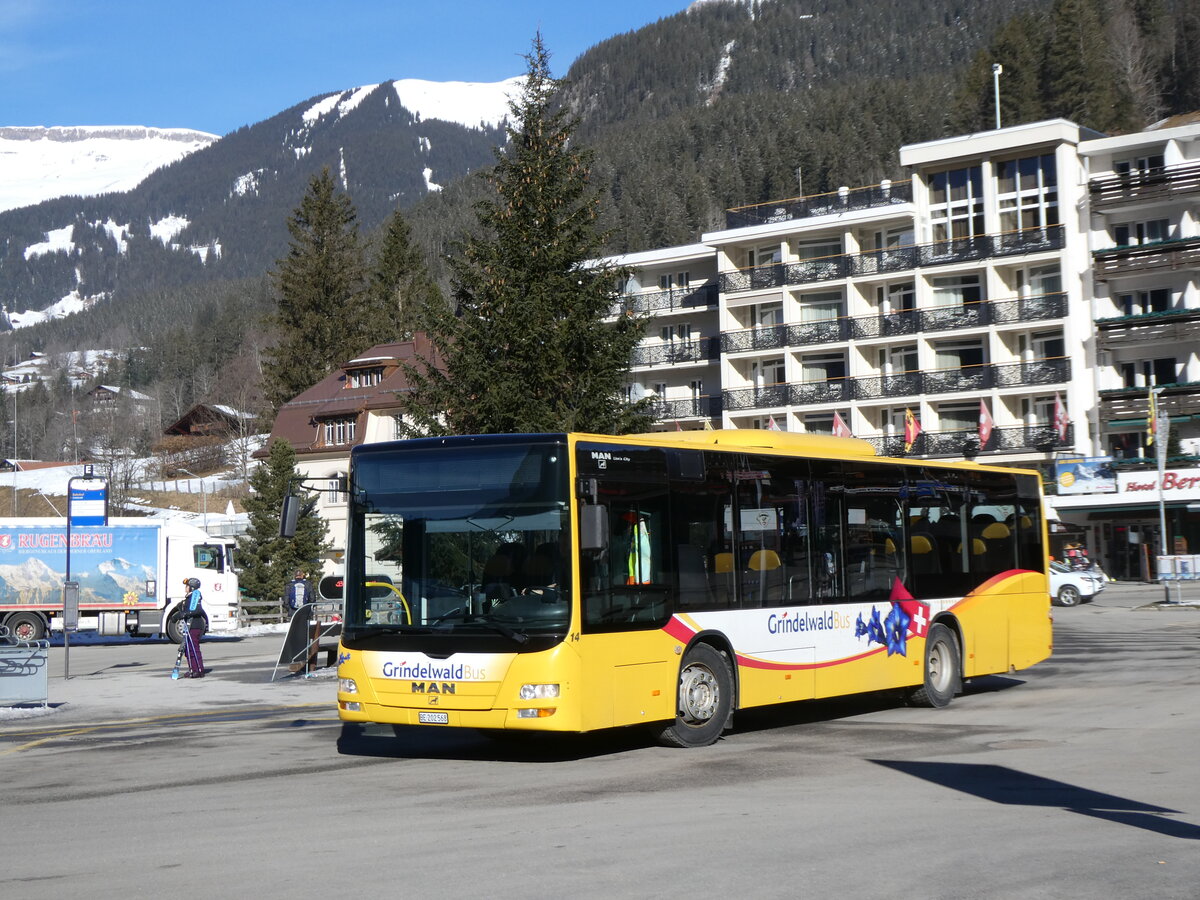 (272'172) - GrindelwaldBus, Grindelwald - Nr. 14/BE 202'568 - MAN/Gppel am 17. Februar 2025 beim Bahnhof Grindelwald