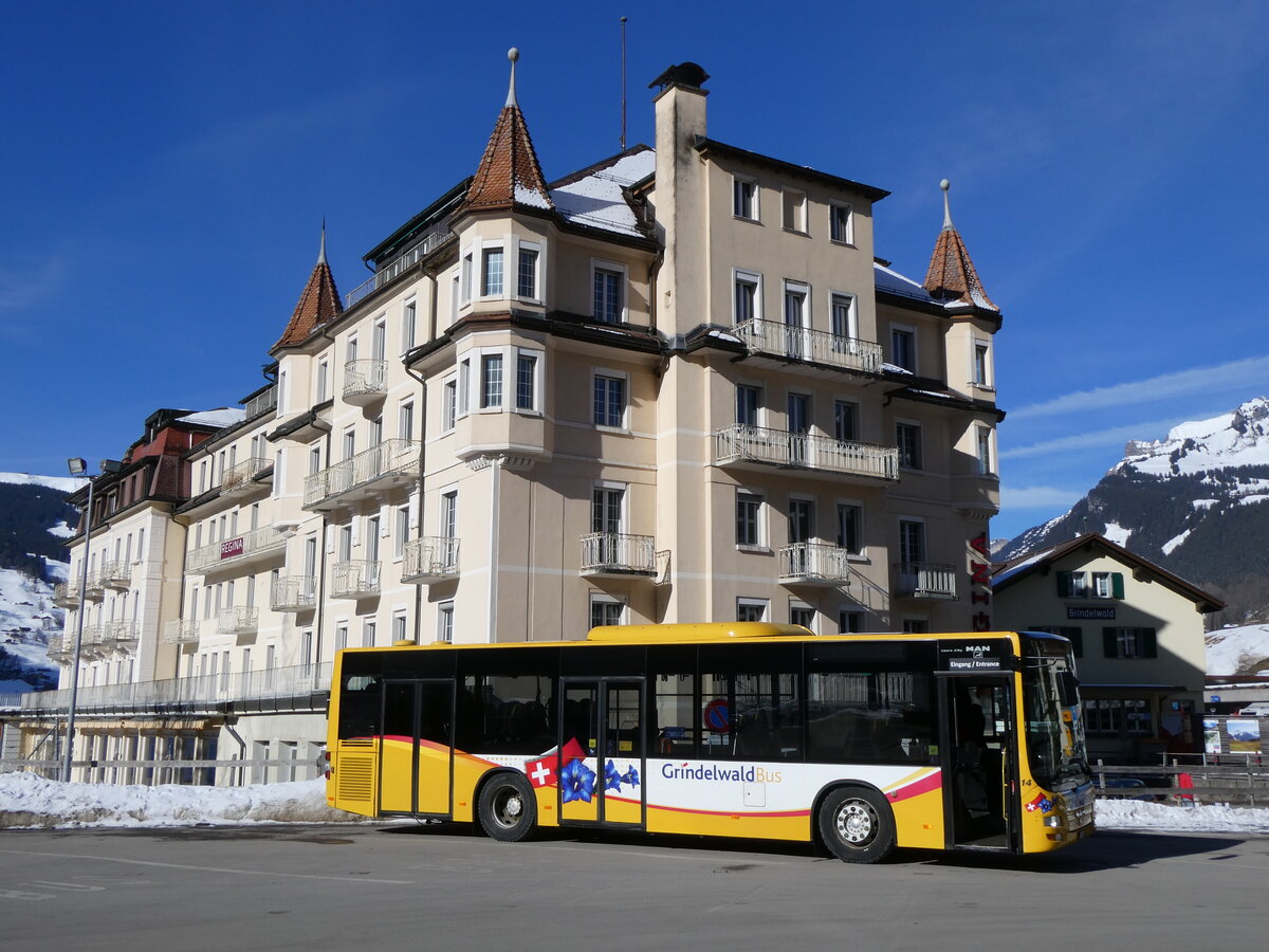 (272'176) - GrindelwaldBus, Grindelwald - Nr. 14/BE 202'568 - MAN/Gppel am 17. Februar 2025 beim Bahnhof Grindelwald