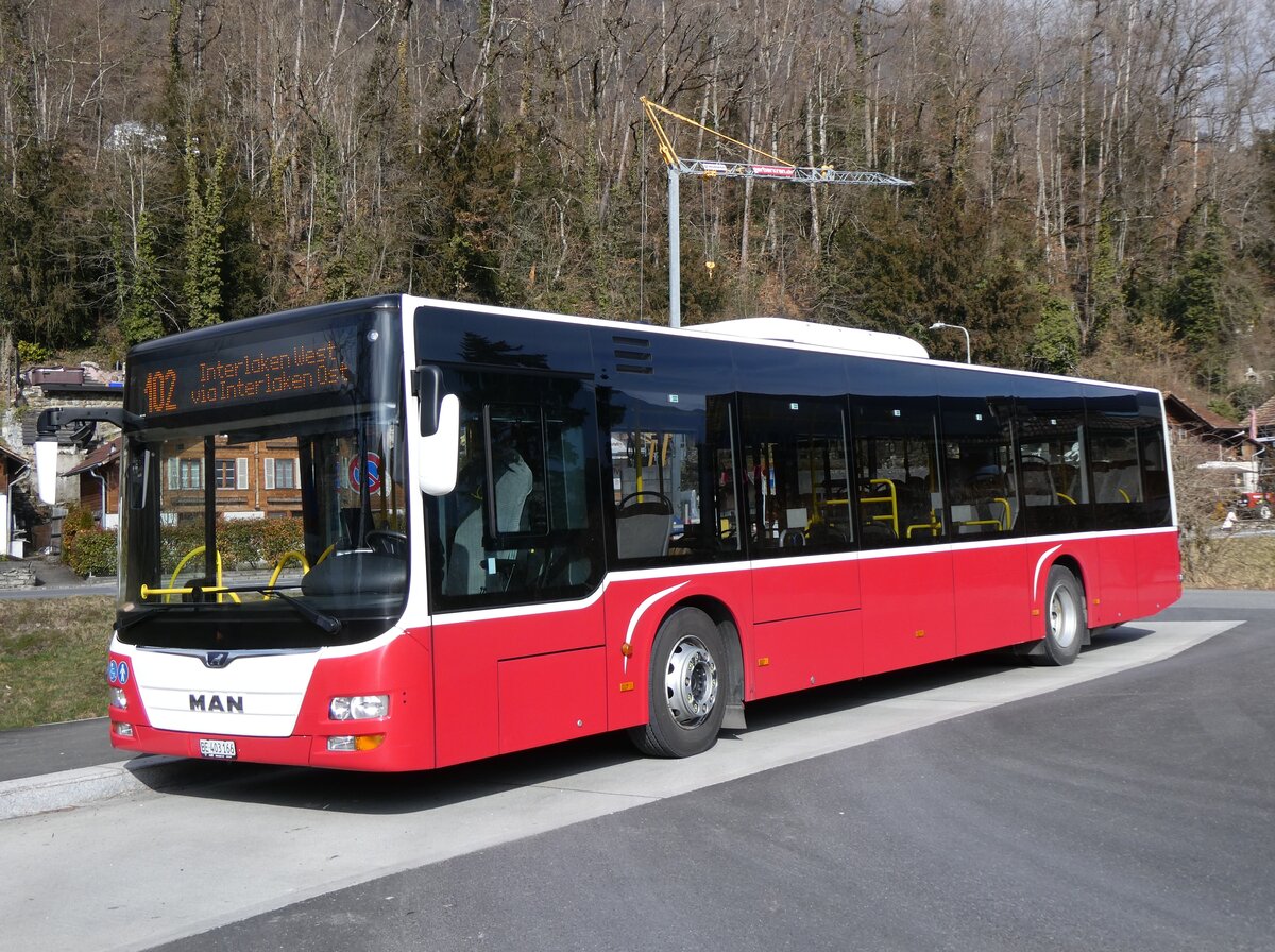 (272'189) - PostAuto Bern - BE 403'166/PID 12'336 - MAN (ex Dr. Richard, A-Wien Nr. 1411) am 17. Februar 2025 in Ringgenberg, Sge