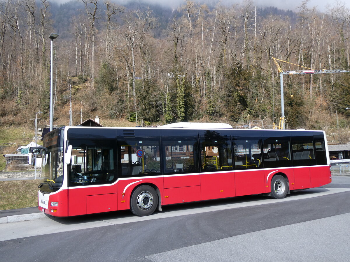 (272'190) - PostAuto Bern - BE 403'166/PID 12'336 - MAN (ex Dr. Richard, A-Wien Nr. 1411) am 17. Februar 2025 in Ringgenberg, Sge