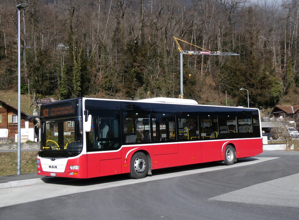 (272'198) - PostAuto Bern - BE 403'166/PID 12'336 - MAN (ex Dr. Richard, A-Wien Nr. 1411) am 17. Februar 2025 in Ringgenberg, Sge