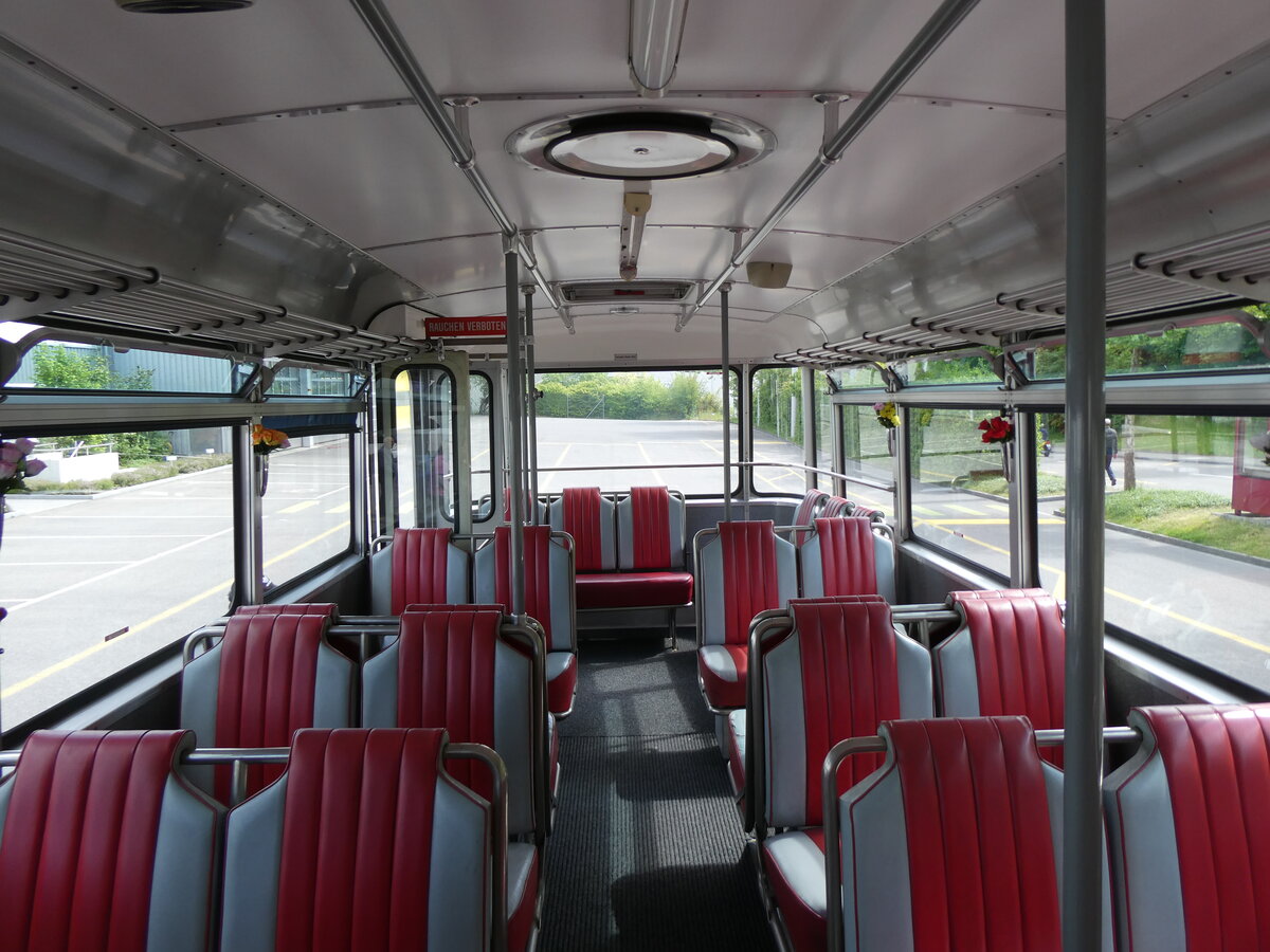 (275'639) - Borer, Neuhausen - SH 19'684 - Saurer/Tscher (ex Schttler, D-Kln; ex Braun, D-Mnster; ex Schmid, Hemishofen; ex Brtsch, Bttenhard; ex ASS Schleitheim Nr. 8) am 17. Mai 2025 in Schaffhausen, Busdepot VBSH (Innenaufnahme)