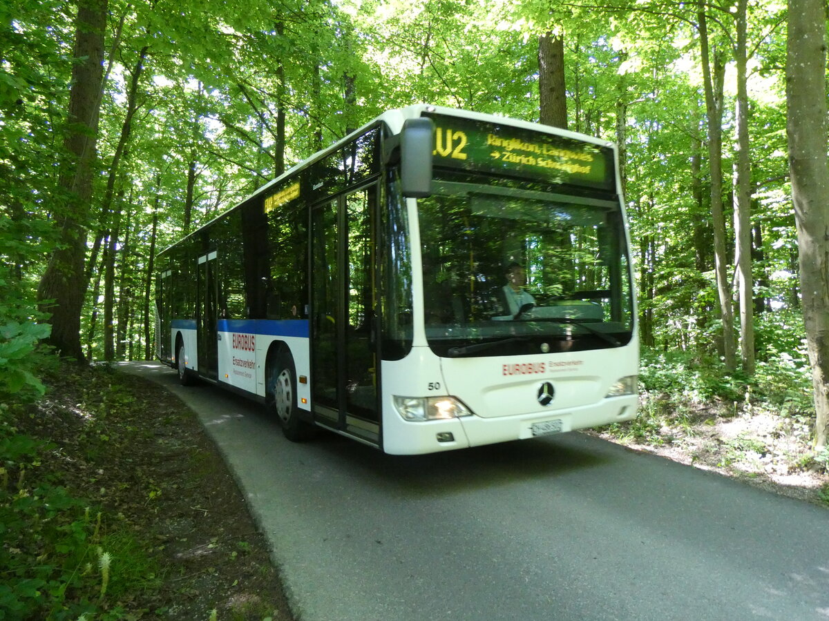 (276'109) - Welti-Furrer, Bassersdorf - Nr. 50/ZH 486'502 - Mercedes (ex Maag, Kloten Nr. 45) am 31. Mai 2025 am Uetliberg