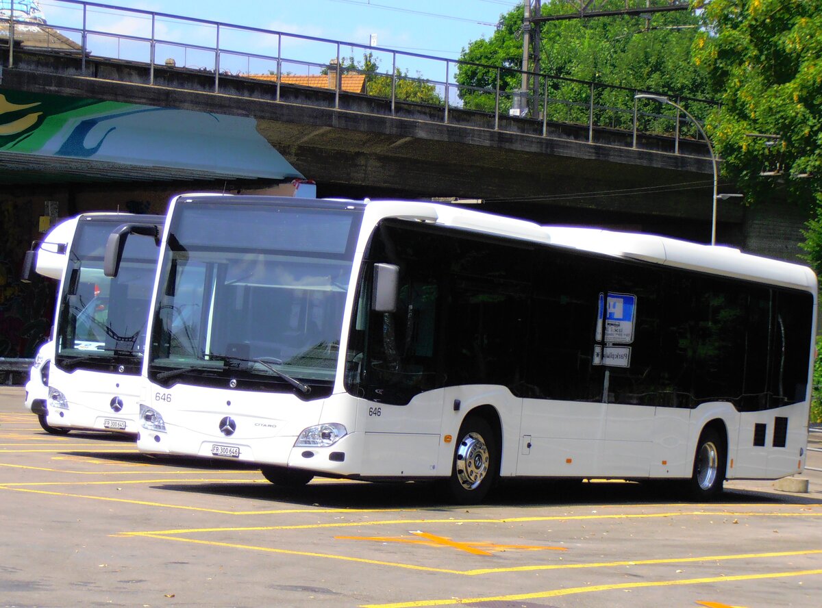 (277'542) - Intertours, Domdidier - Nr. 646/FR 300'646 - Mercedes am 4. Juli 2025 in Bern, Schtzenmatte