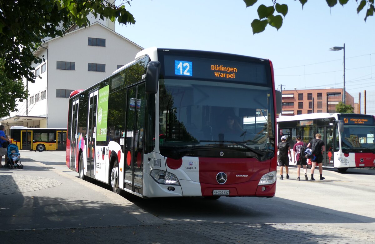 (278'870) - TPF Fribourg - Nr. 6003/FR 300'352 - Mercedes am 15. August 2025 beim Bahnhof Ddingen