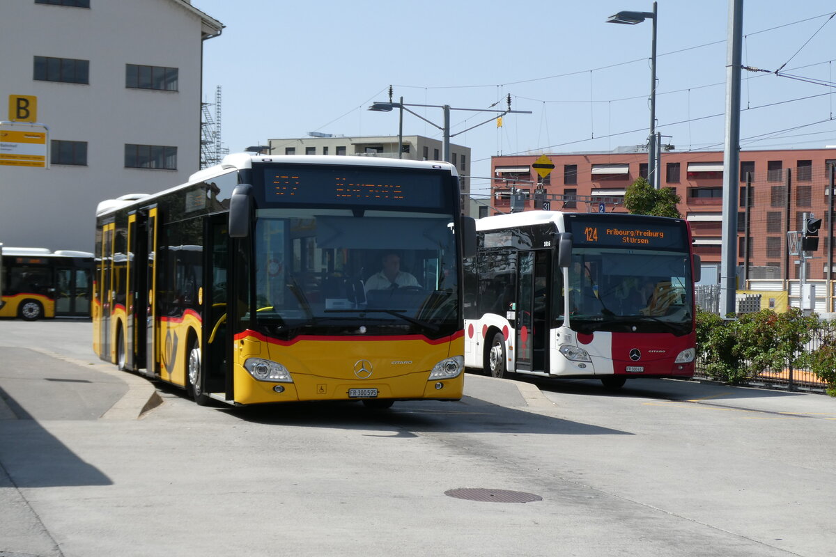 (278'871) - Wieland, Murten - Nr. 118/FR 300'595/PID 11'558 - Mercedes am 15. August 2025 beim Bahnhof Ddingen
