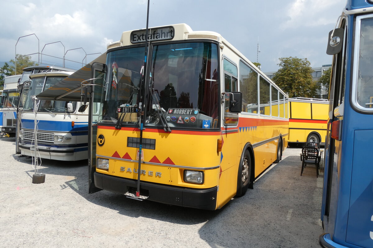 (279'019) - Toldo, Zrich - ZH 124'701 - Saurer/R&J (ex Peter, Pfaffnau) am 16. August 2025 in Solothurn, Baseltor