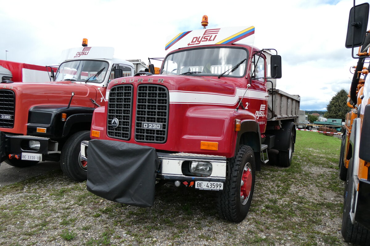 (279'739) - Dysli, Bern - Nr. 2/BE 43'599 - Saurer am 30. August 2025 in Oberkirch, CAMPUS Sursee