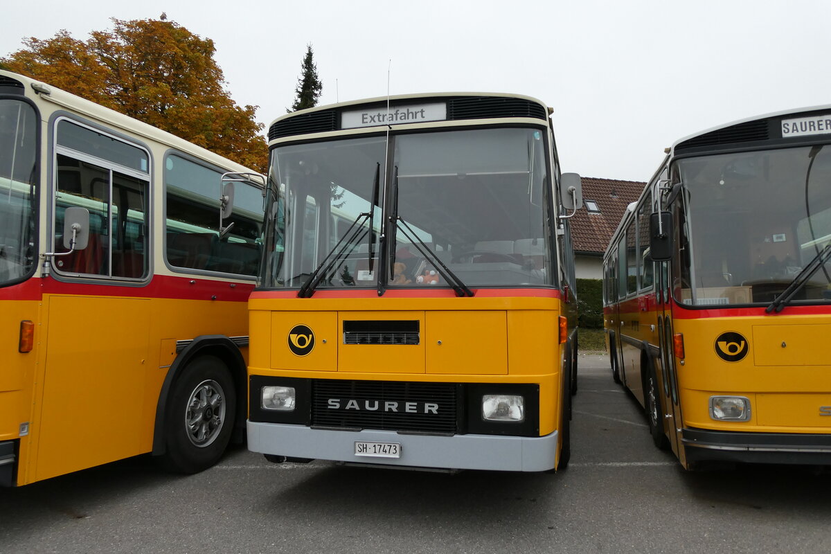 (281'327) - Ruklic, Schaffhausen - SH 17'473 - Saurer/Tscher (ex Schett, Sargans PID 2762) am 12. Oktober 2025 in Schwarzenberg, Rssli