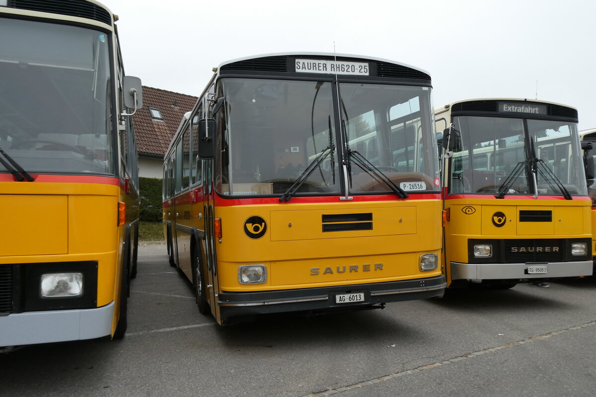 (281'348) - Gloor, Staufen - AG 6013 - Saurer/Hess (ex ALMAT, Tagelswangen; ex P 26'516) am 12. Oktober 2025 in Schwarzenberg, Rssli